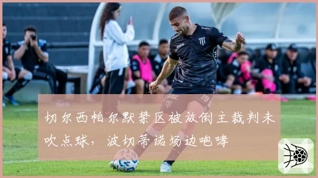 切尔西帕尔默禁区被放倒主裁判未吹点球，波切蒂诺场边咆哮