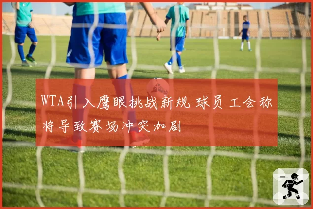 WTA引入鹰眼挑战新规 球员工会称将导致赛场冲突加剧