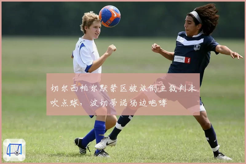 切尔西帕尔默禁区被放倒主裁判未吹点球，波切蒂诺场边咆哮