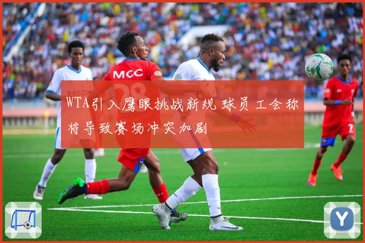 WTA引入鹰眼挑战新规 球员工会称将导致赛场冲突加剧